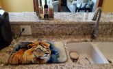 Lion Dish Drying Mat Absorbent Dish Drying Mat Pad for Kitchen Counter Dish Drainer Mat for Countertop, 14 x 21", Multicolor