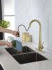 Gold Kitchen Faucets with Pull Down Sprayer, Kitchen Sink Faucet with Pull Out Sprayer, Fingerprint Resistant, Single Hole Deck Mount